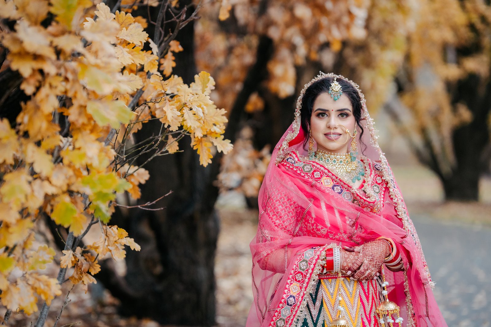Elegant bride wedding portrait